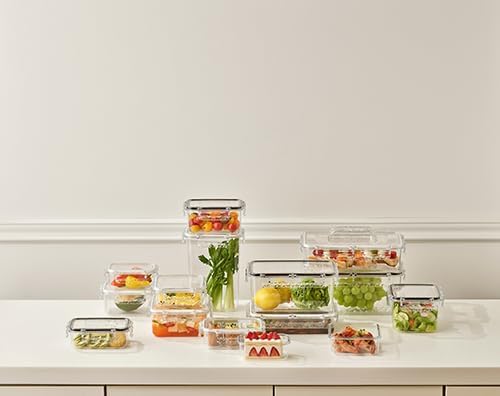 gotman Airtight Food Storage Container with Lid(13.5oz) Leak-Proof Baby Food Box | BPA-Free | Meal Prep | Microwave, Freezer and Dishwasher Safe | Kitchen Fridge Organizer Boxes | Fresher Food