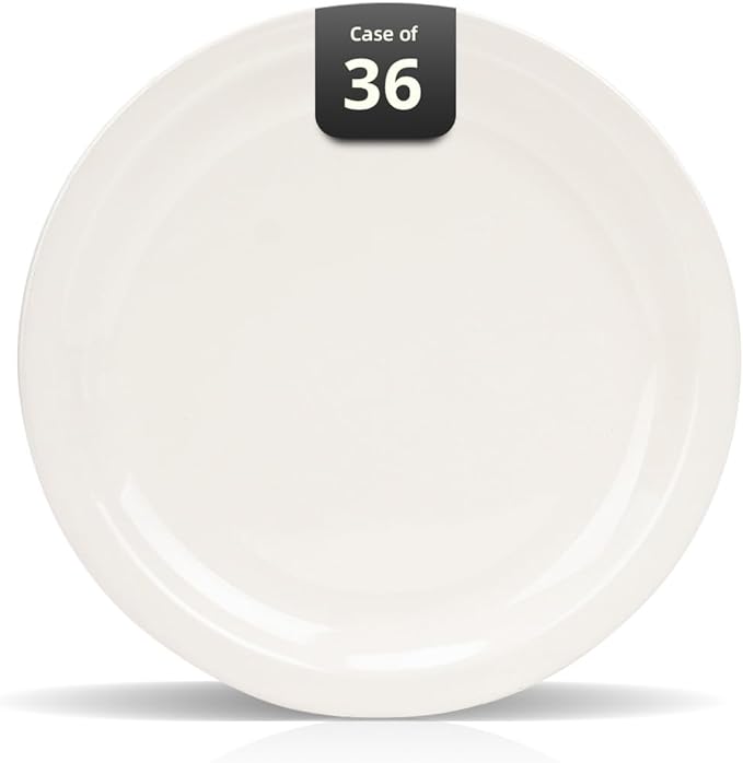 IRESTAURANT PLUS Stoneware Narrow Rim Commercial Grade Dinnerware, America White, Plate 8.25, Case of 36