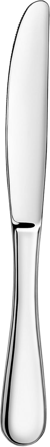Artaste Rain 18/10 Stainless Steel Dinner Knife, 9.15-Inch, Set of 12