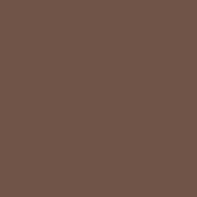 Circulon Bakeware Nonstick Cookie Pan Set, Cookie Sheets for Baking, 2-Pieces, Chocolate Brown
