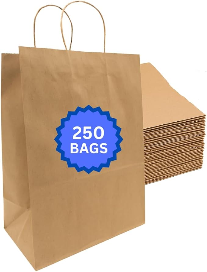 ASSUREPAK Kraft DIY Paper Bags, 13" x 7" x 13", 110 GSM, 250 Count