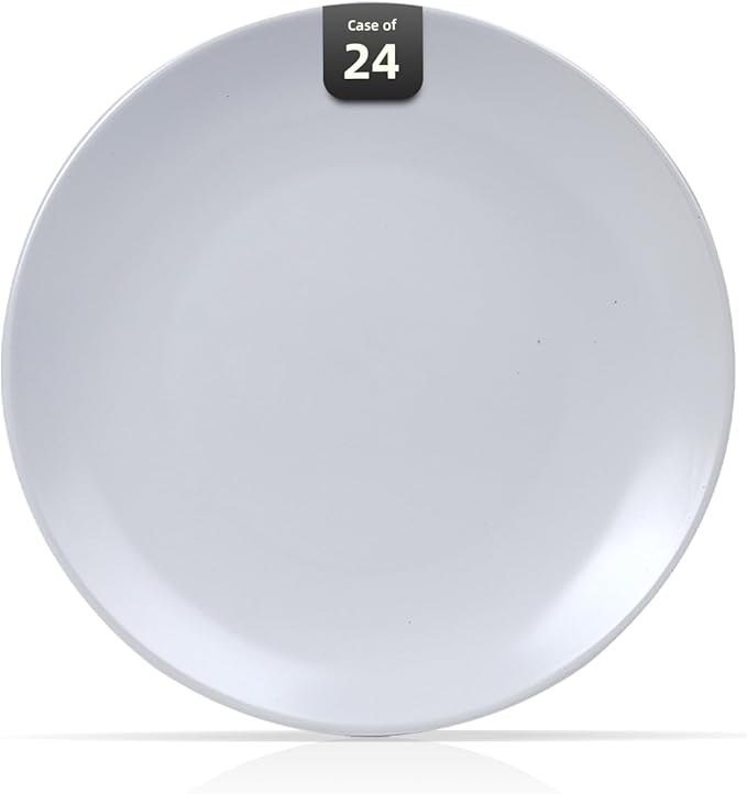 IRESTAURANT PLUS Stoneware Coupe Commercial Grade Dinnerware, Matte White, Plate 9", Case of 24