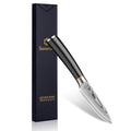 Sunnecko Damascus Paring Knife,Japanese VG10 Core Steel Damascus Fruit Knife,Professional Razor Sharp Small Kitchen Knives with Knives Sharpner