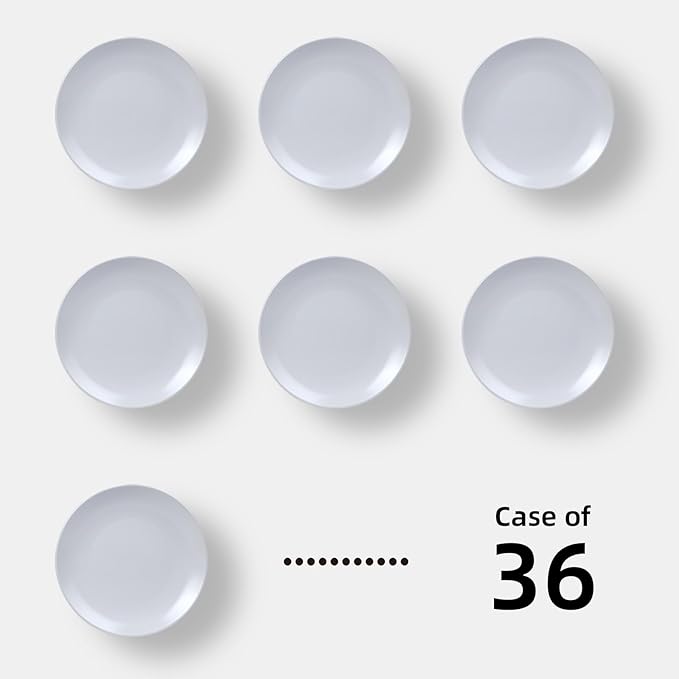 IRESTAURANT PLUS Stoneware Coupe Commercial Grade Dinnerware, Matte White Plate 6.5", Case of 36