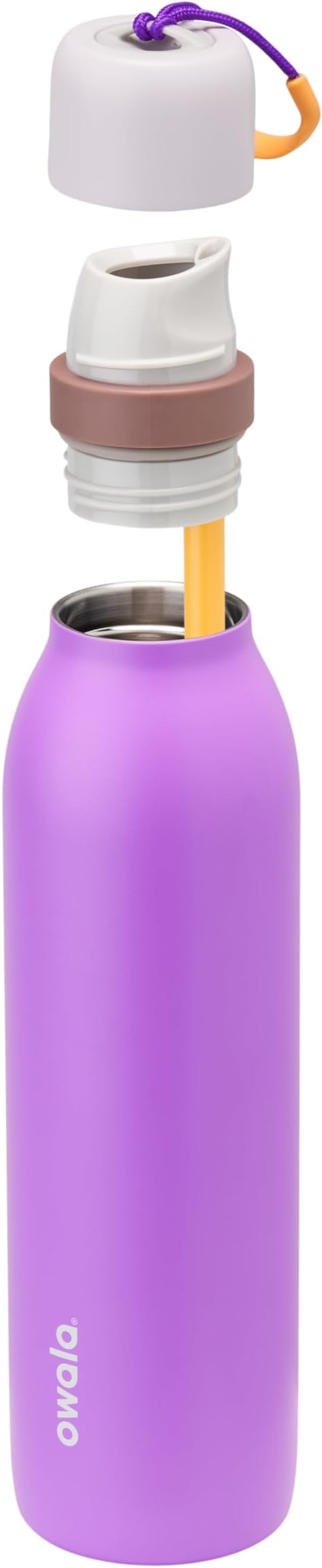 Owala FreeSip Twist Stainless Steel Water Bottle 24 oz California Grapevine