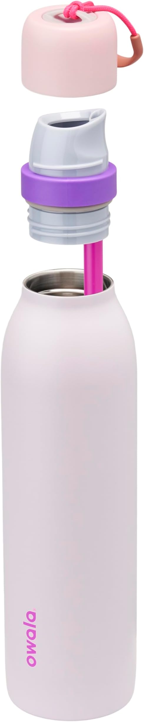 Owala FreeSip Twist Stainless Steel Water Bottle 24 oz Dreamy Field