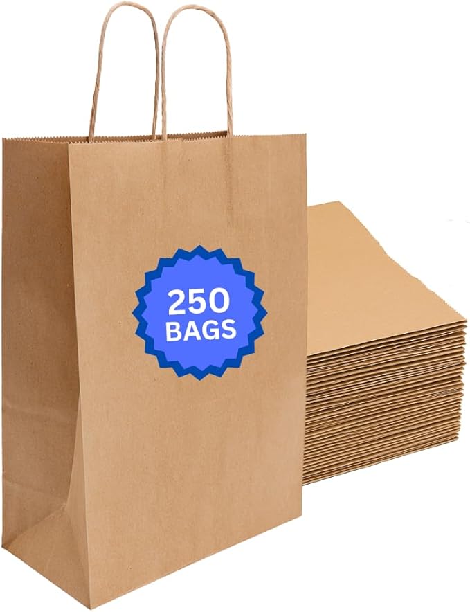 ASSUREPAK Kraft DIY Paper Bags, 10" x 6.75" x 12", 90 GSM, 250 Count