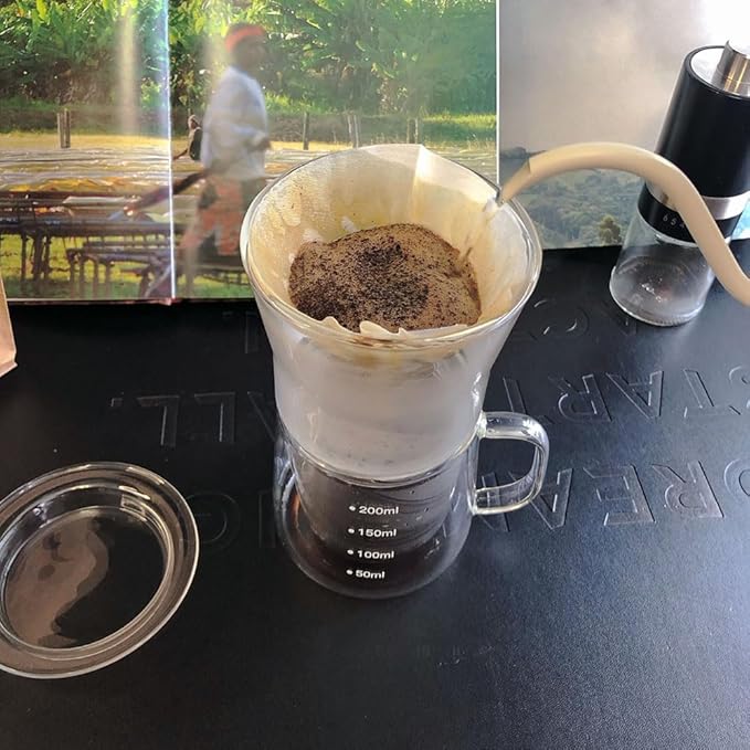 FISHNU TaiLake Coffee Self Brewing Cup - Perfect for Single Serve Coffee - Experience the Art of One Cup Pour Over Coffee Maker(Vortex Filter Set)
