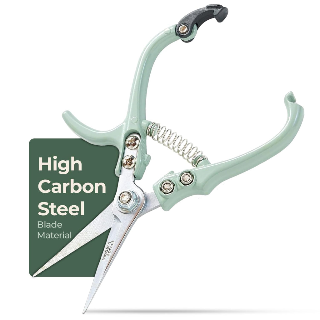 Modern Sprout Pruning Shears - Garden Snips - Herb Scissors - Sage 1-Pack
