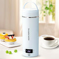 Touxila Portable Electric Kettle for Travel 120V, 13.5oz, 4 Temp Settings