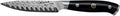 HENCKELS Compass Damascus 4-inch Damascus Paring Knife