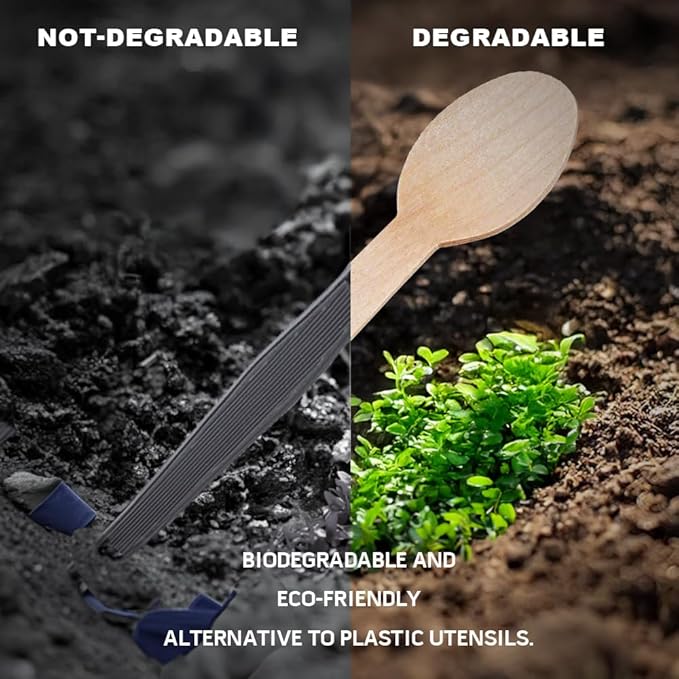 360 Pcs Disposable Wooden Spoons, Compostable Spoon Set
