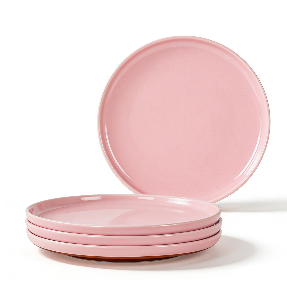 GZG Ceramic Dinner Plates, 10.25 Inch, Set of 4
