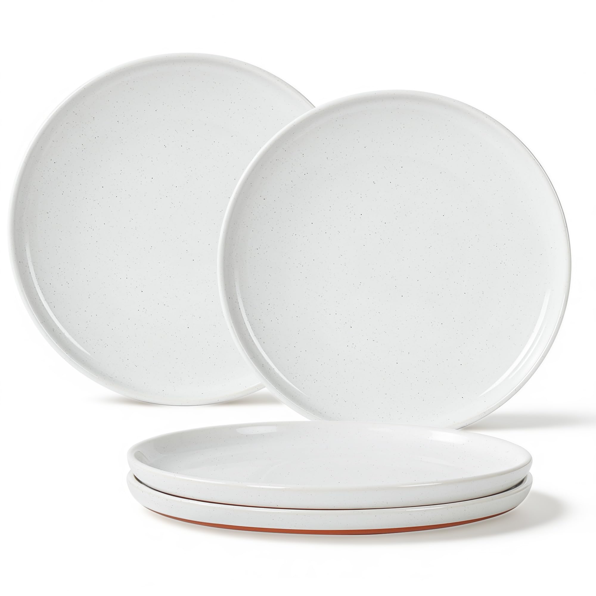 GZG Ceramic Dinner Plates, 10.25 Inch, Set of 4