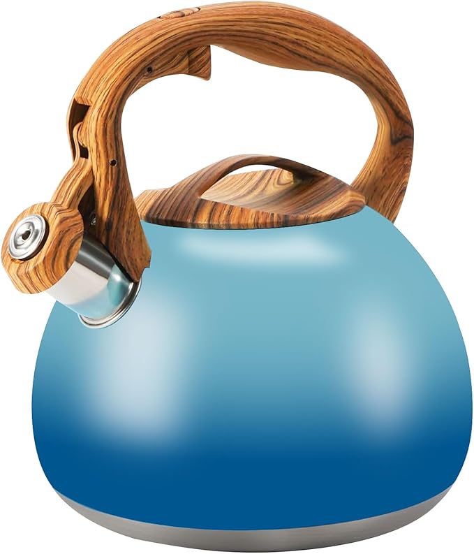 Foedo 3.2Qt Stainless Steel Whistling Tea Kettle Stovetop, Sky Blue