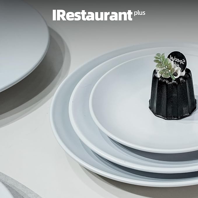 IRESTAURANT PLUS Stoneware Coupe Commercial Grade Dinnerware, Matte White Plate 6.5", Case of 36