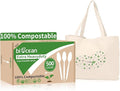 Biocean Extra Heavyduty Compostable Spoons [500 Count,6.7In] Disposable Cutlery No Plastic Spoons Large Biodegradable Utensils Eco Friendly Silverware for Party,BBQ,Daily Use [With Tote]