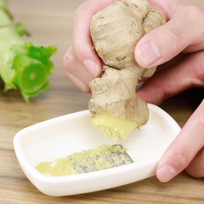 HOLIDYOYO Ginger Garlic Grater Reusable Hand Grater Kitchen Tool for Ginger Garlic Fruit Easy Cleaning 3.93 X 2.75 X 0.78 in