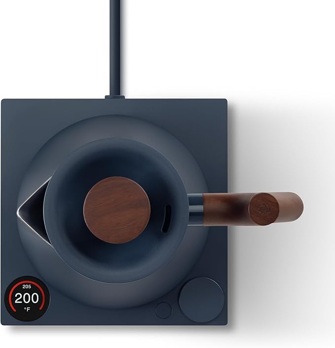 Fellow Corvo EKG Pro Electric Kettle for Tea & Coffee, 0.9 Liter