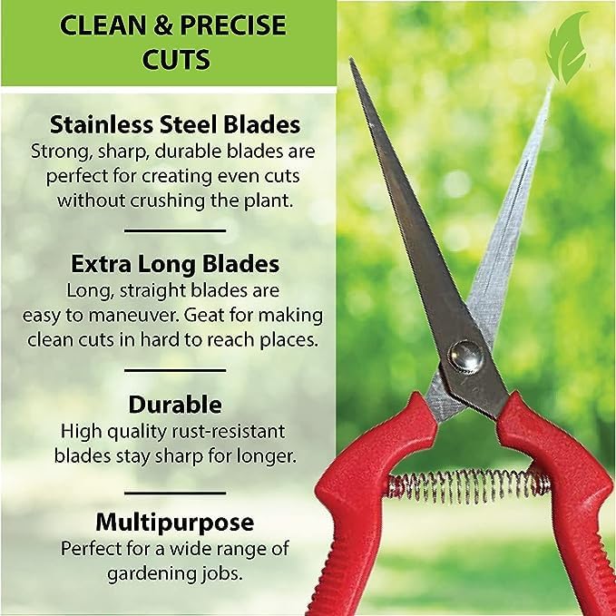 Garden Guru Extra Long Stainless Steel Pruner Pruning Shears Clippers Snips Sharp Bonsai Cutter Plant Trimming Scissors Straight Blade Garden Scissors Tool Great for Roses Flowers Herbs Fruits(2 Pack)