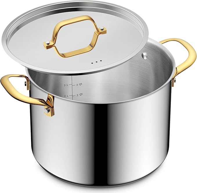 BEZIA 12 QT Stainless Steel Stock Pot, Uncoated Large Soup Pot with Lid