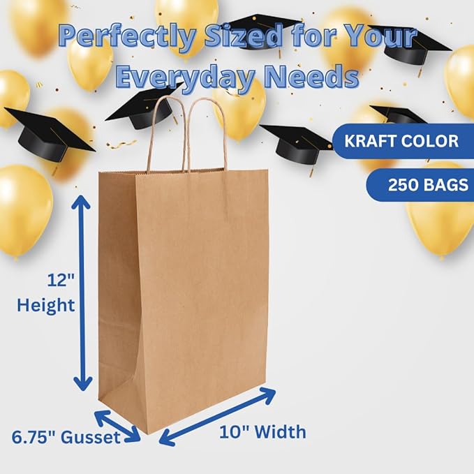 ASSUREPAK Kraft DIY Paper Bags, 10" x 6.75" x 12", 90 GSM, 250 Count