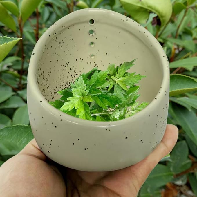 Pottery Herb Stripper Bowl, Upgrade Pottery Herb Stripper Cup Ceramic Herb Peeling Cup, Handmade Different Round Hole Sizes Suitable for Peeling Off The Leafy Assembly (B)