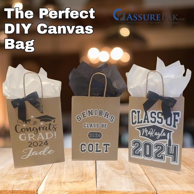 ASSUREPAK Kraft DIY Paper Bags, 10" x 6.75" x 12", 90 GSM, 250 Count