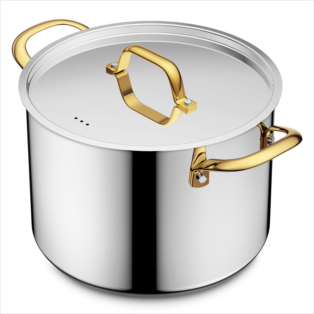 BEZIA 12 QT Stainless Steel Stock Pot, Uncoated Large Soup Pot with Lid