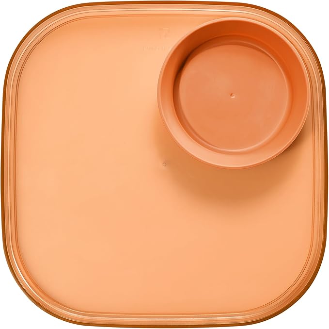 Madesmart Dipware Reusable Dining Plate, Serving Tray for Appetizers and Snacks, Sandwiches, Hummus, Sauces, Stackable & Removable Dip Bowl, PinkTerracotta