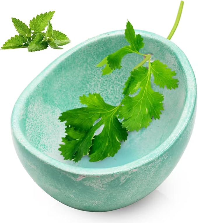 Rimigood Ceramic Herb Stripper Bowl with 4-Sized Holes for Stripping Herbs Leaves Handmade Herb Peeler for Strips Kale, Thyme, Basil, Pottery Herb Leaf Stripping Bowl (Green)