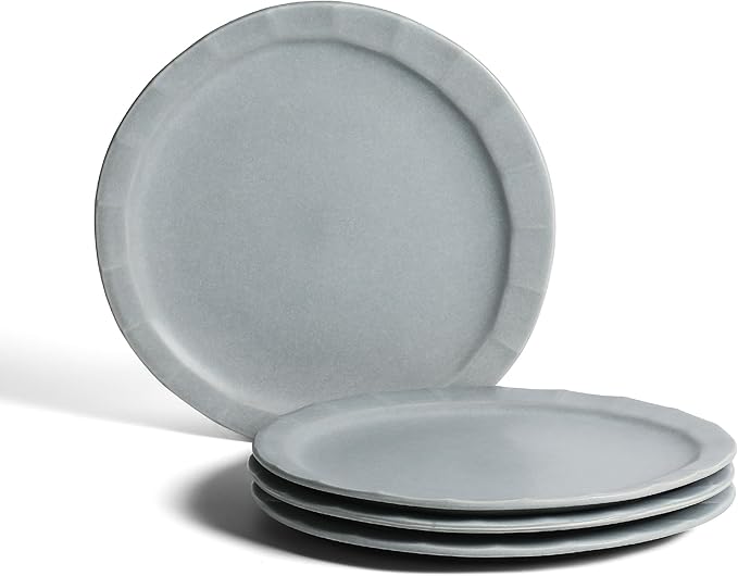 Stone Lain Oasis Stoneware Plate Dish Set, 4-Piece Dinner Plates - Ceramic Serving Dishes for 4 People - Microwave & Dishwasher Safe, Grey Blue