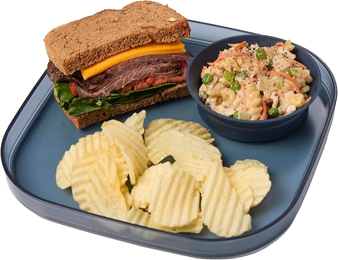 madesmart Dipware Dinner Plate, Midnight