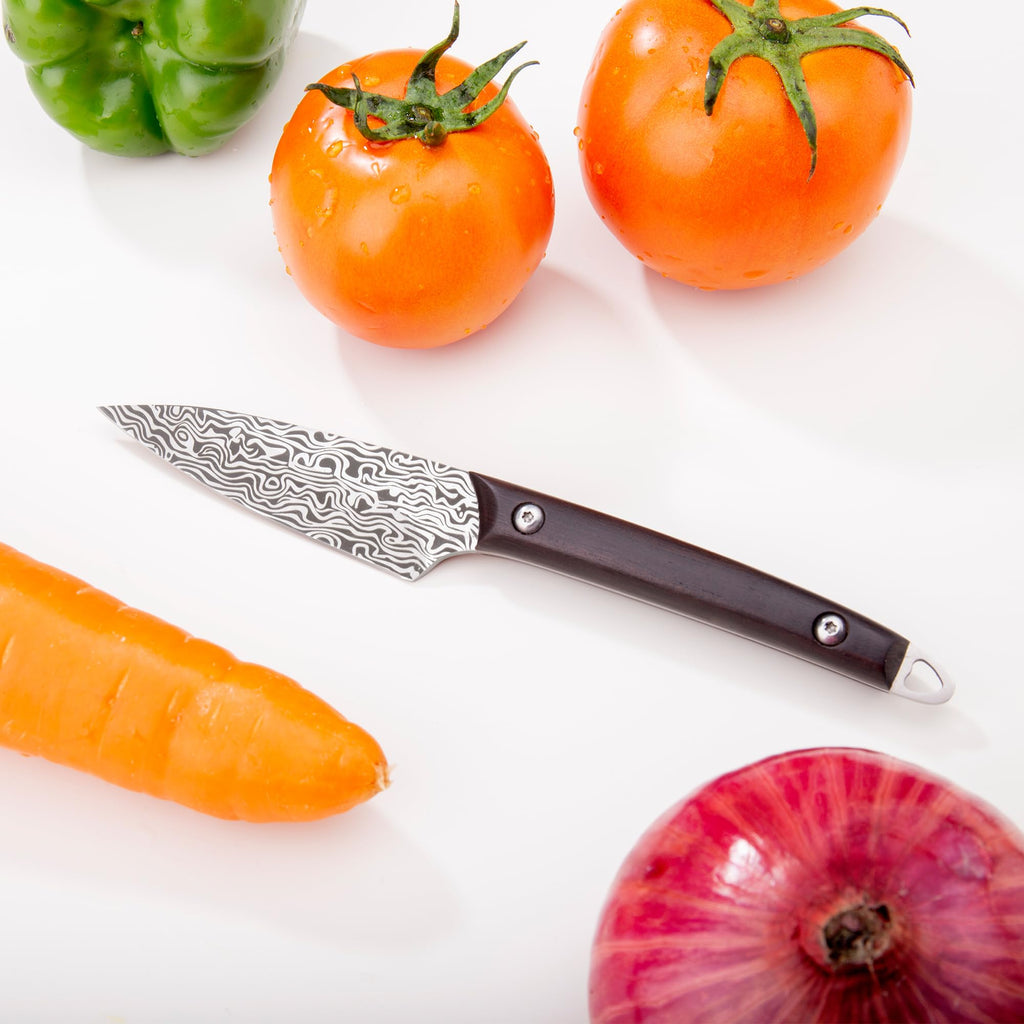 WILDMOK Fruit Knife Carving knives Stainless Steel 3.3 Inch Utility Knife Fruit and Vegetable Cutting Paring Kitchen Knife with Leather Case (B)