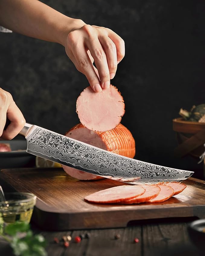 HEZHEN 10-Inch Slicing Knife with Granton Edge –67 Layers Damascus Steel, Professional Carving Knife for Brisket, Roast & BBQ, Figured Sycamore Handle