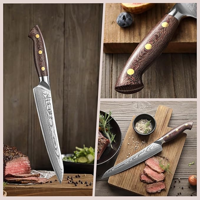 HEZHEN 8.3'' Damascus Carving Knife – 67 Layers Damascus Steel, Professional Brisket Slicing for BBQ, Smoked Meat & Roast, Full Tang Micarta Handle, Gift Packing