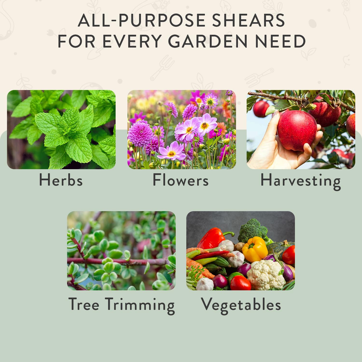 Modern Sprout Pruning Shears - Garden Snips - Herb Scissors - Sage 1-Pack