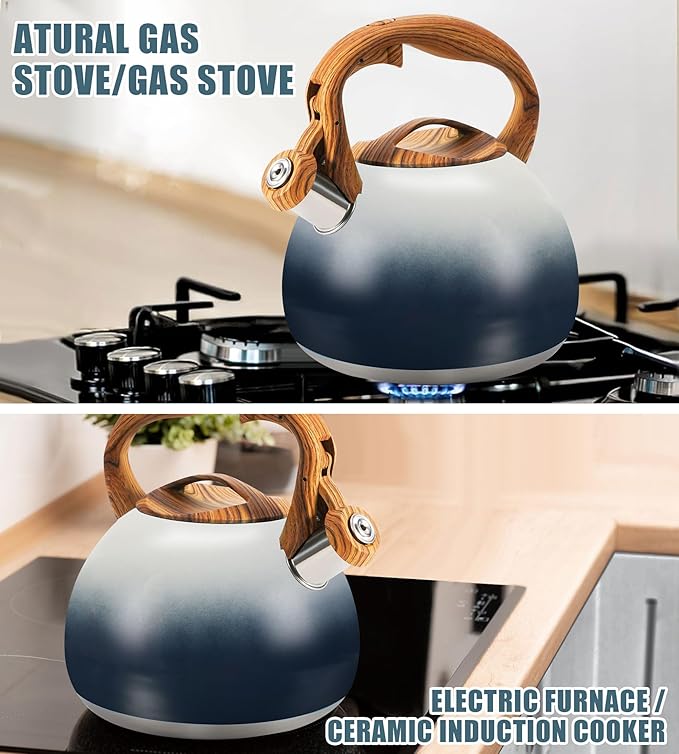 Foedo 3.2Qt Stainless Steel Whistling Tea Kettle Stovetop - Black & white