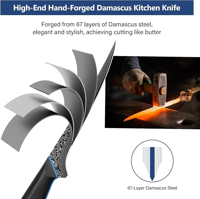 Fillet Knife 7 Inch, 67-Layer Damascus Steel Boning Knife with G10 Handle
