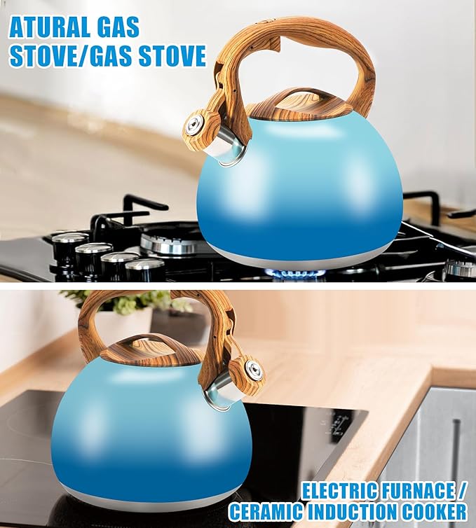Foedo 3.2Qt Stainless Steel Whistling Tea Kettle Stovetop, Sky Blue