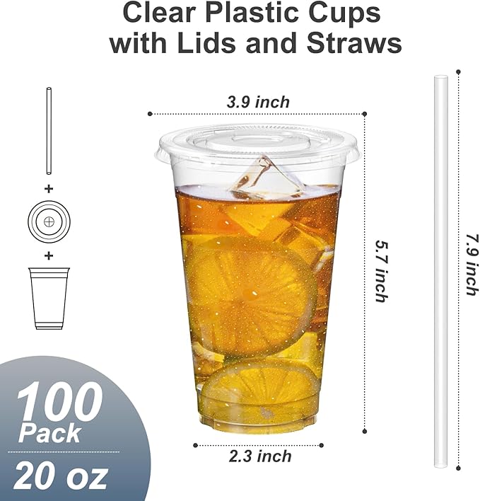 Dealusy 100 Pack - 20 oz Clear Plastic Cups with Lids and Straws, Sturdy & Food Safe Iced Coffee Cups with lids, Disposable Plastic Smoothie Cups for Cold Drinks