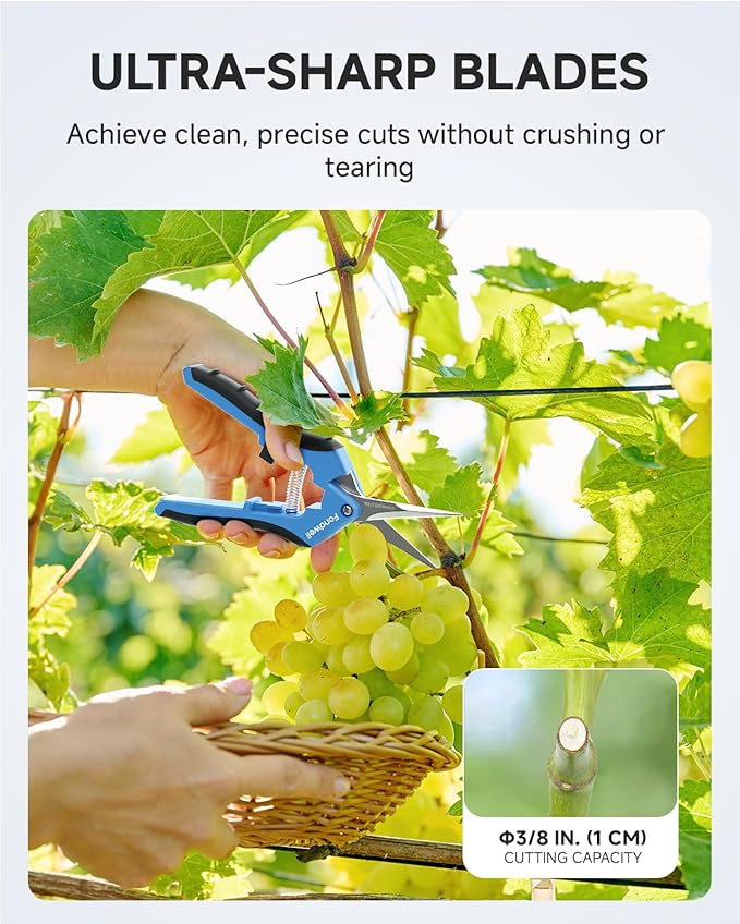 Fondwell 6.5" Small Pruning Scissors for Indoor Plant Micro Garden Clippers