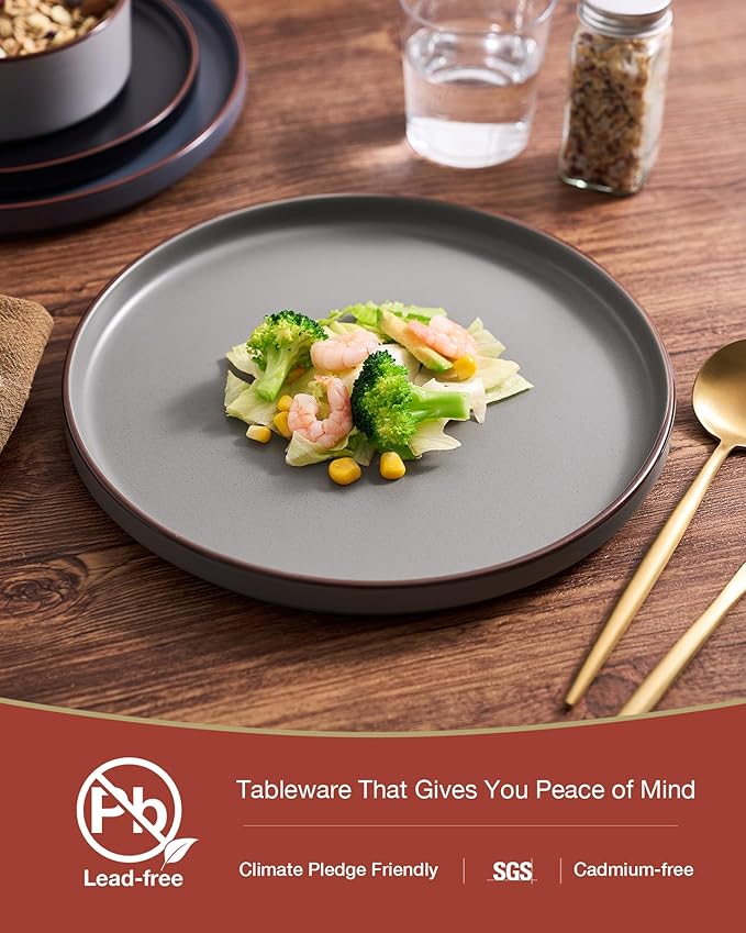 Famiware Nebula Ridge 12-Piece Stoneware Dinnerware Set, Multi-color
