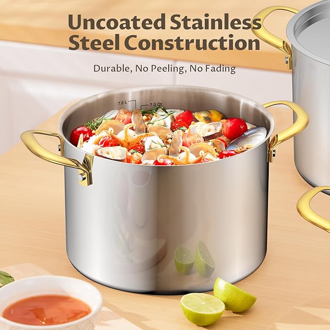 BEZIA 12 QT Stainless Steel Stock Pot, Uncoated Large Soup Pot with Lid