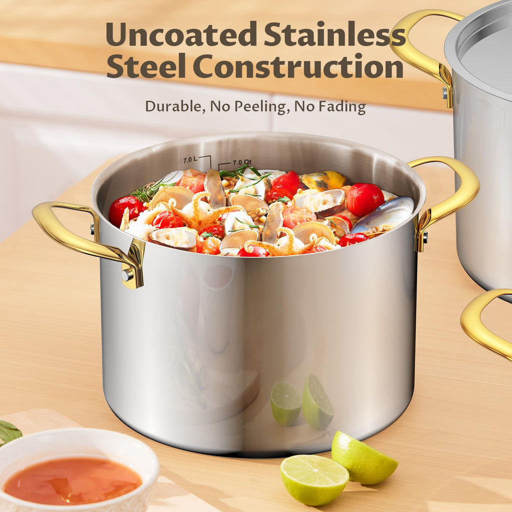 BEZIA 12 QT Stainless Steel Stock Pot, Uncoated Large Soup Pot with Lid