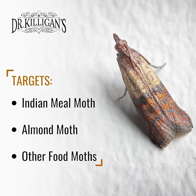 Dr. Killigan's Pantry Moth Traps with Pheromones Prime, 6 Pack, Black