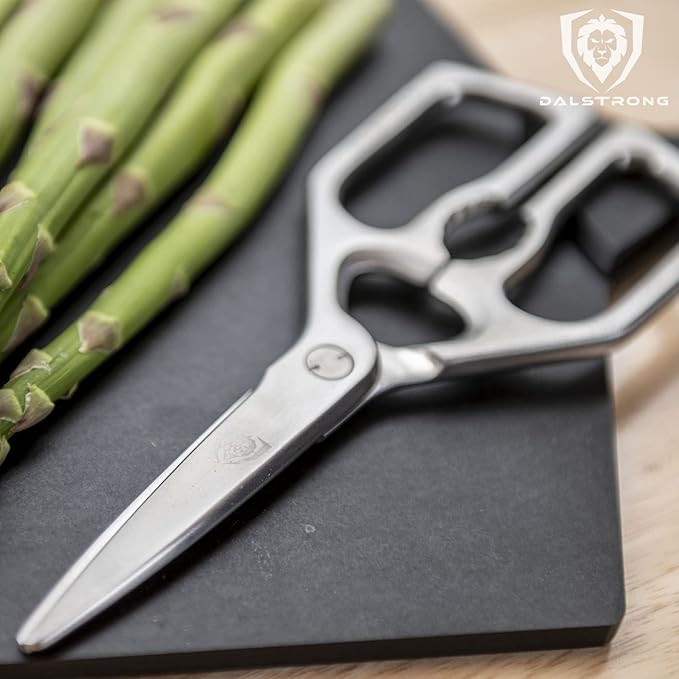 Dalstrong Kitchen Scissors — Japanese Stainless Steel Shears, Ambidextrous, Detachable for Cleaning — For Spatchcocking Chicken, Trimming Herbs, Pizza, Flatbread & Package Opening