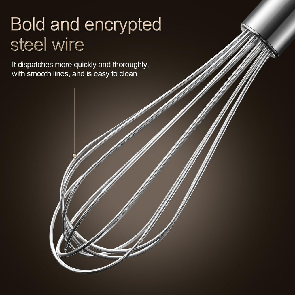 Aniso Stainless Steel Whisk (8.4 inches, Silver)