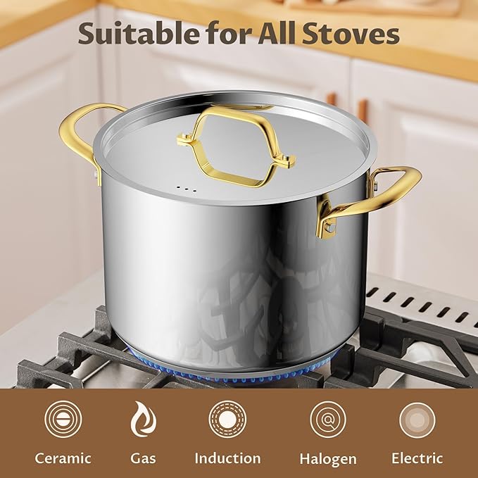 BEZIA 12 QT Stainless Steel Stock Pot, Uncoated Large Soup Pot with Lid