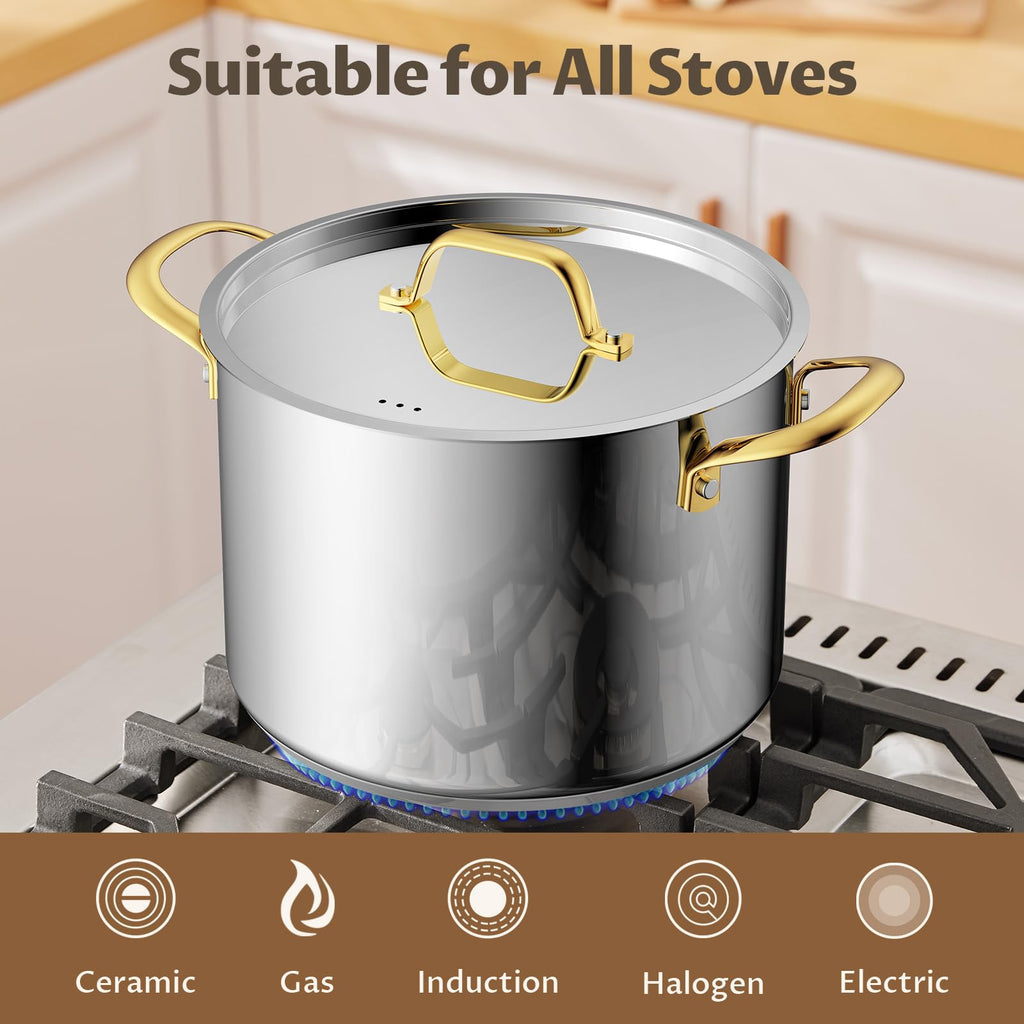 BEZIA 12 QT Stainless Steel Stock Pot, Uncoated Large Soup Pot with Lid